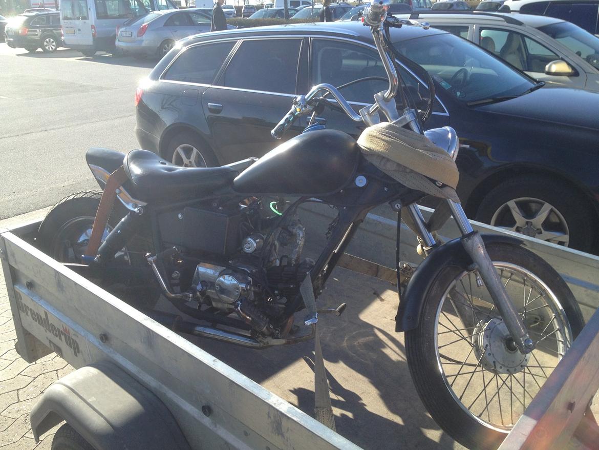 Regal Raptor billede 1