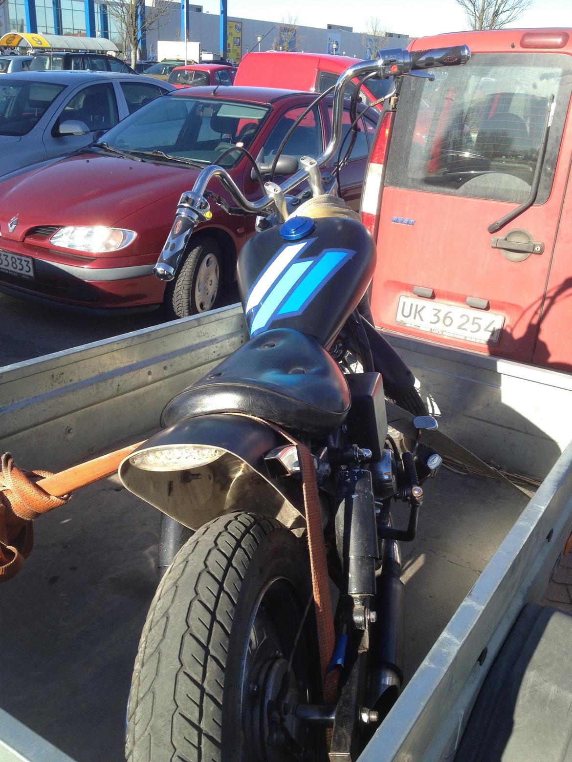 Regal Raptor billede 2