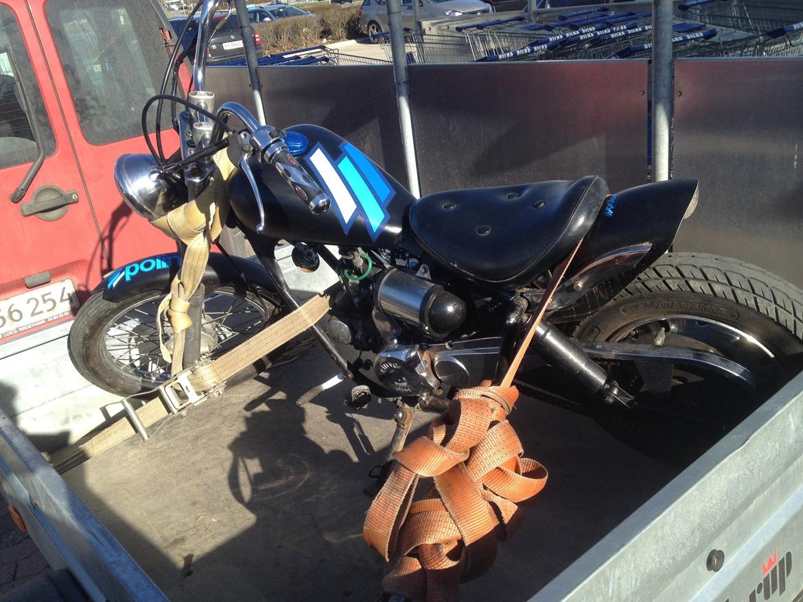 Regal Raptor billede 3