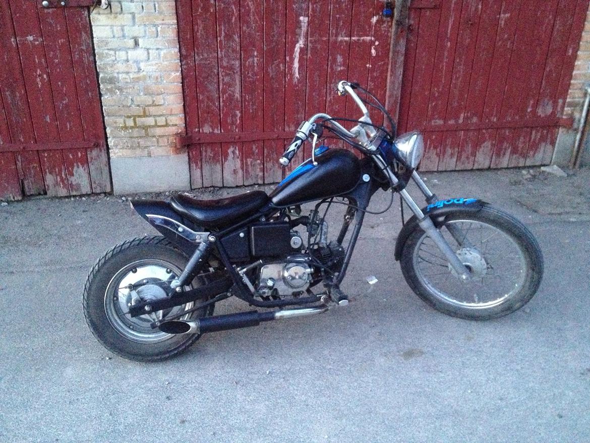 Regal Raptor billede 4