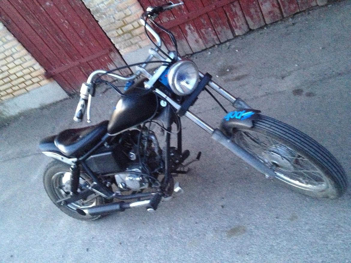 Regal Raptor billede 5