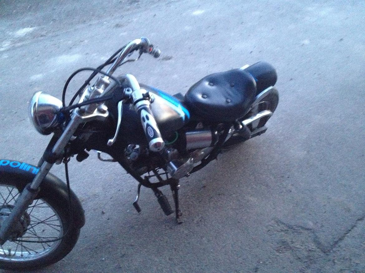 Regal Raptor billede 7