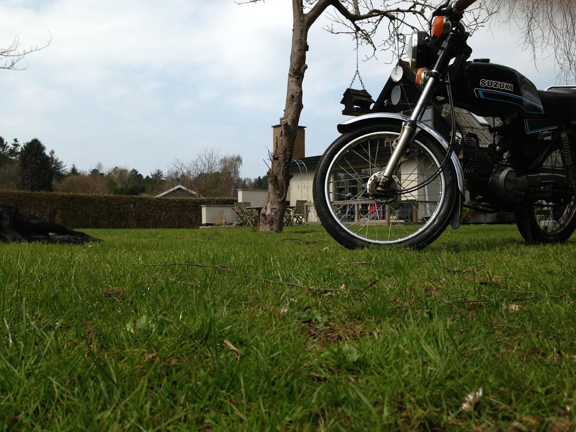 Suzuki DM50 Samurai billede 7