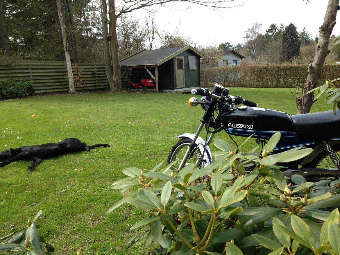 Suzuki DM50 Samurai billede 19