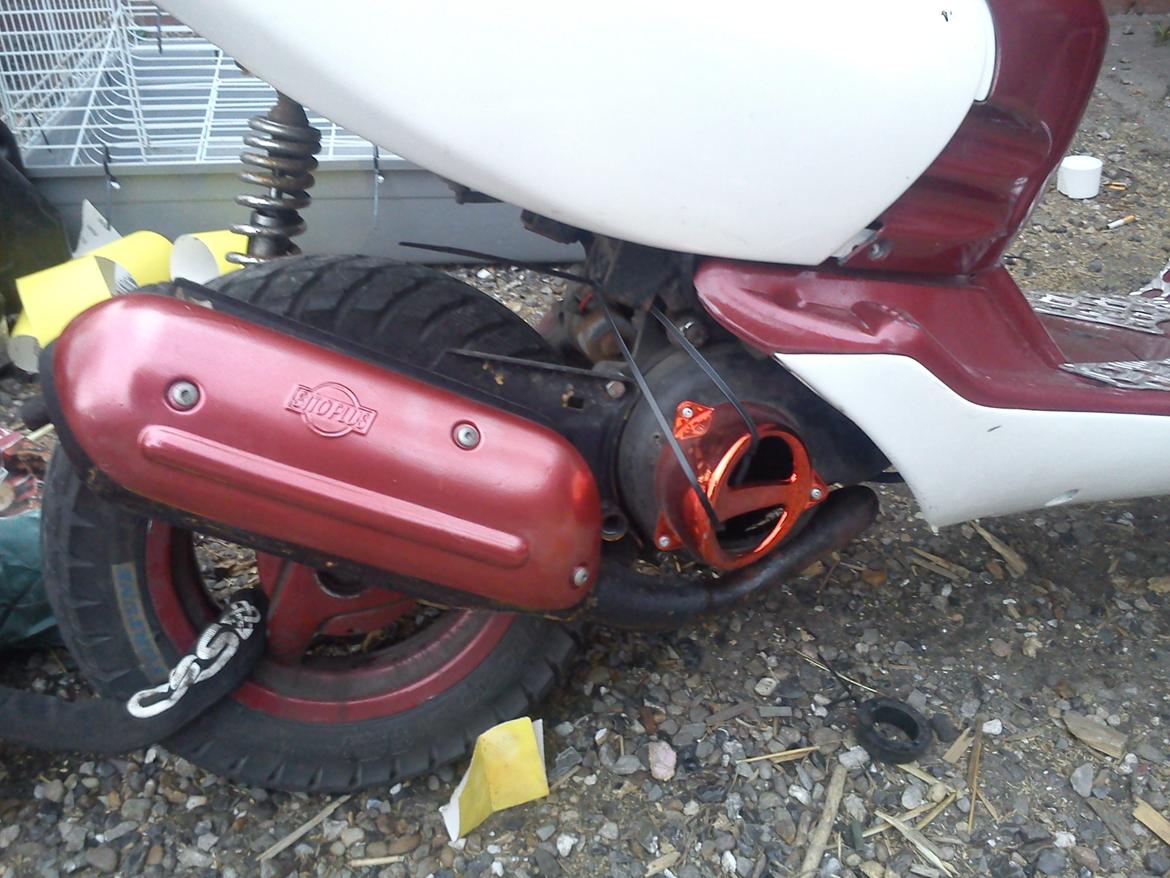 Aprilia Sonic billede 7