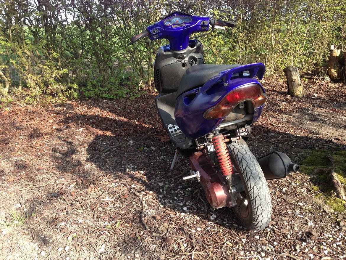 Aprilia Sonic billede 5