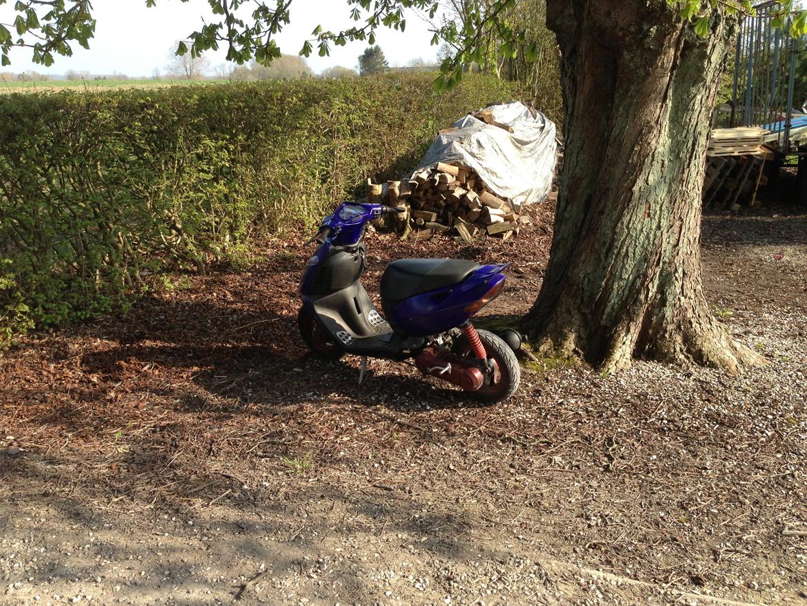 Aprilia Sonic billede 9