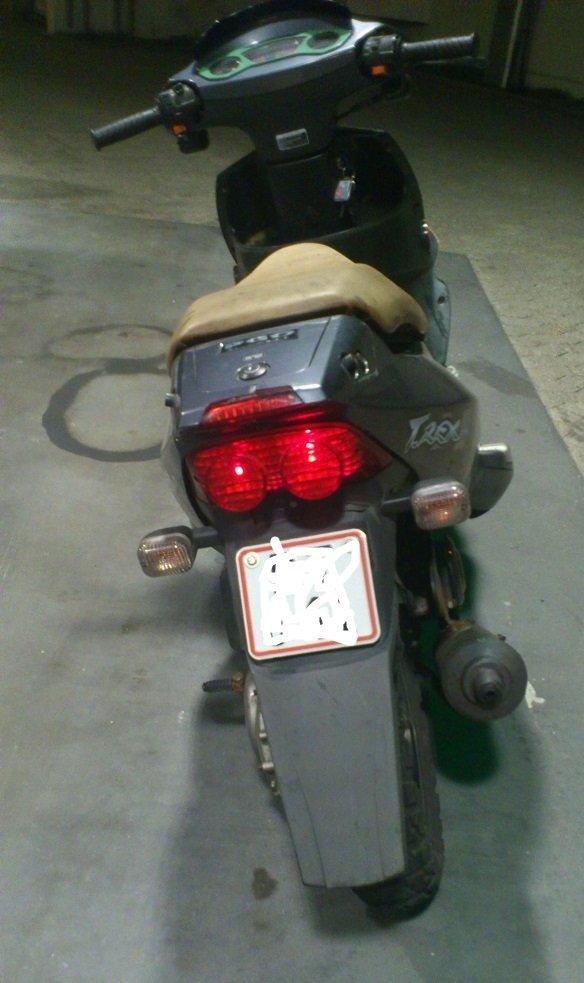 PGO T-rex billede 7