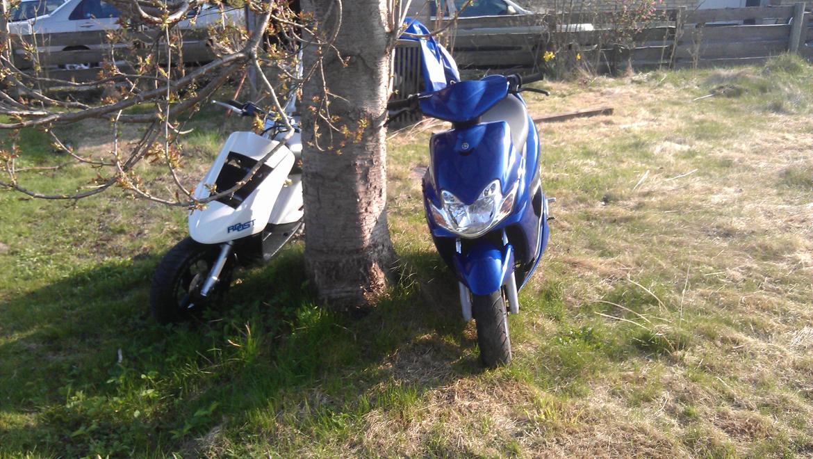 Yamaha Jog fs/LC Hebo billede 6