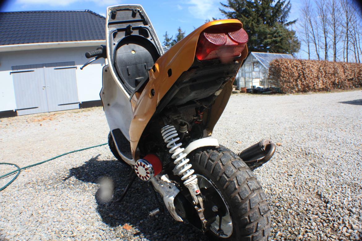 PGO Hot 'Æ vilddyr' billede 4