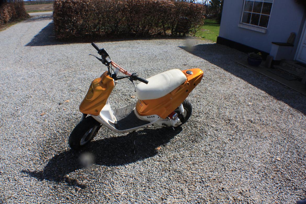 PGO Hot 'Æ vilddyr' billede 2