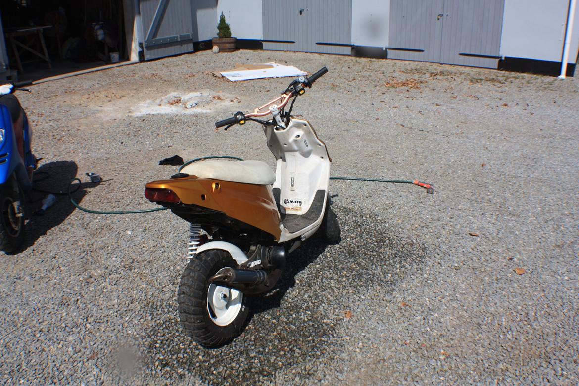 PGO Hot 'Æ vilddyr' billede 3