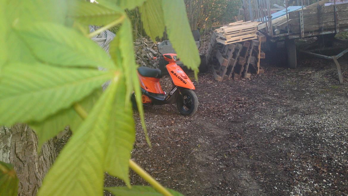 Yamaha jog as billede 12