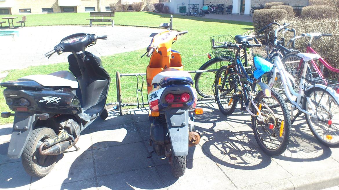 Honda sfx the black devil billede 3