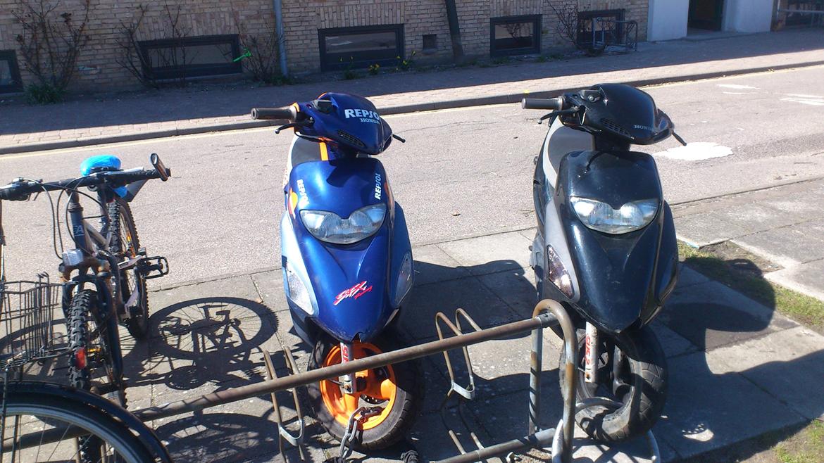 Honda sfx the black devil billede 1