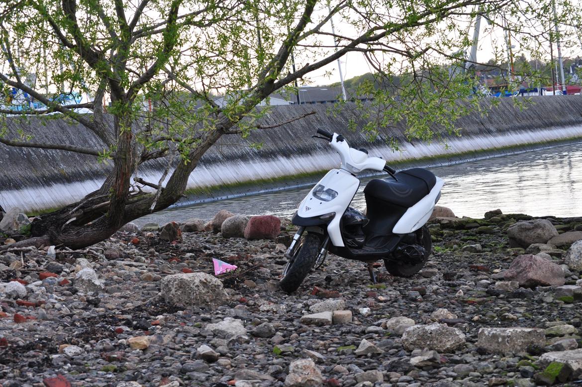 Gilera Stalker billede 6