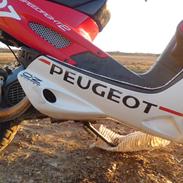 Peugeot Speedfight 2 wrc 307