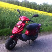 PGO Hot-50