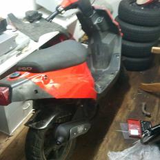 PGO Hot 50 "STÅJLET"