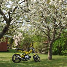 Sachs Madass *BADASS* DK's bedst bedømte