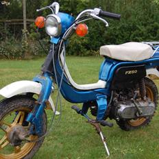 Suzuki Fz50