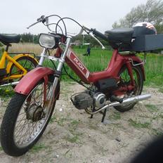 Puch Maxi KL