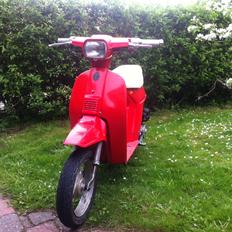 Honda Melody