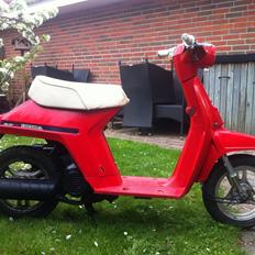 Honda Melody