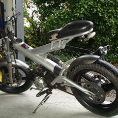 Sachs Madass