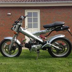 Sachs Madass