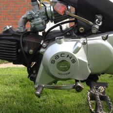Sachs Madass