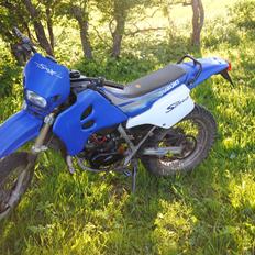 Suzuki Super Motard SMX