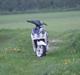 Yamaha jog r