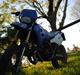 Suzuki Super Motard SMX