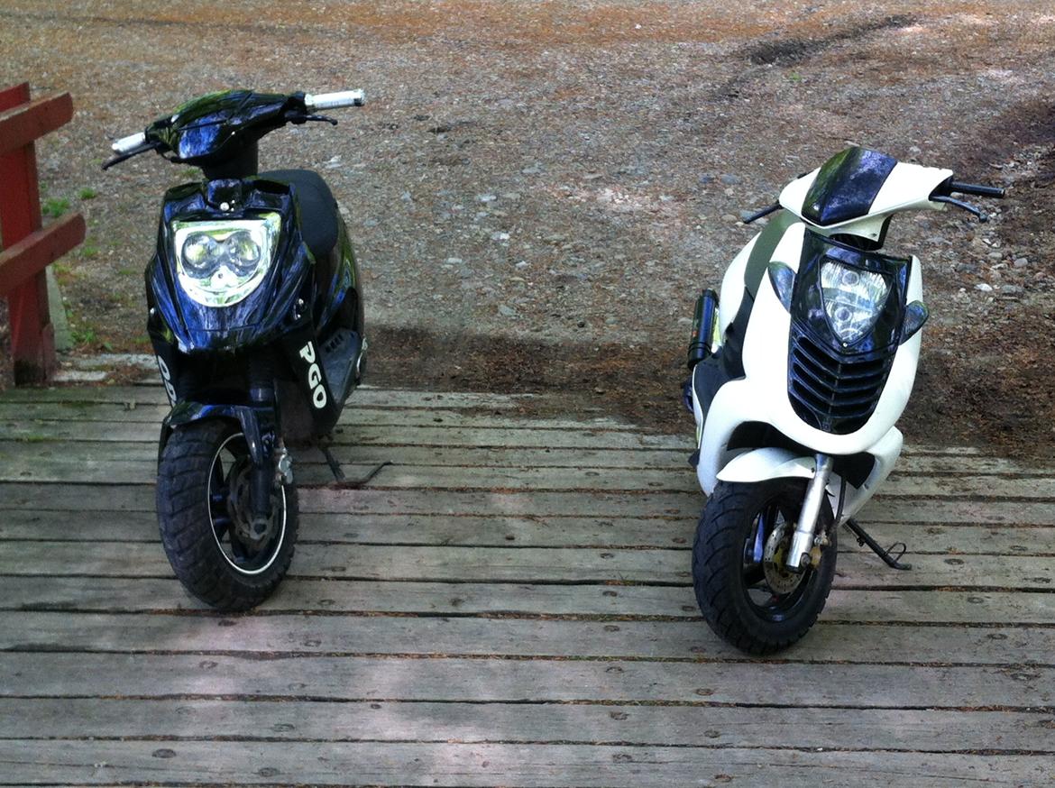 PGO Hot 50 - Å Skovtur! billede 13