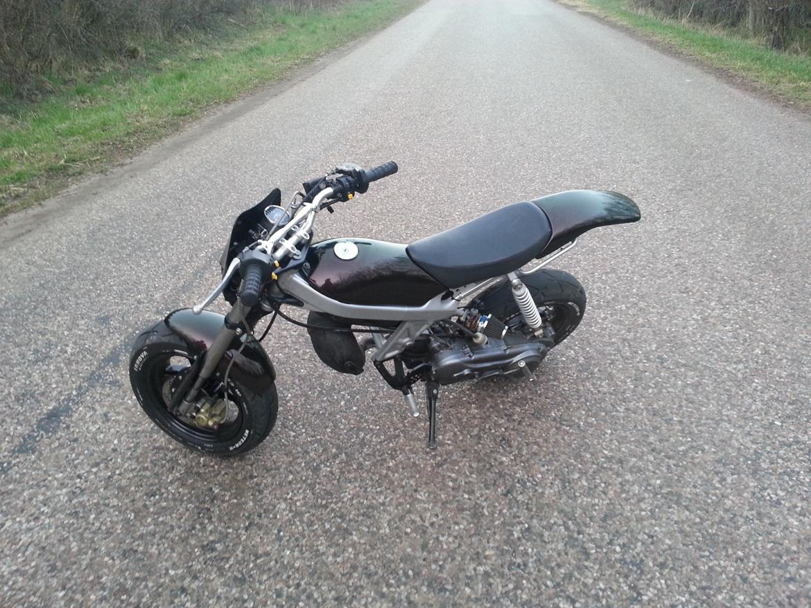 Suzuki Street Magic *Regnbue Lynet* billede 3