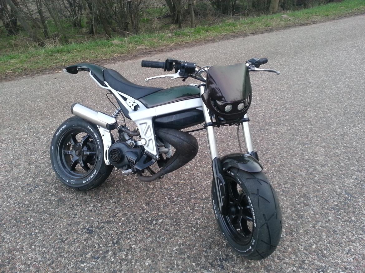 Suzuki Street Magic *Regnbue Lynet* billede 6