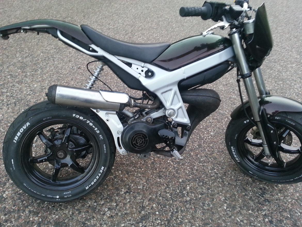 Suzuki Street Magic *Regnbue Lynet* billede 7