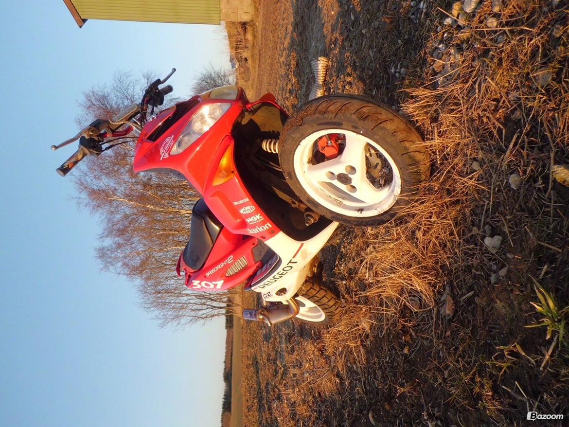 Peugeot Speedfight 2 wrc 307 billede 14