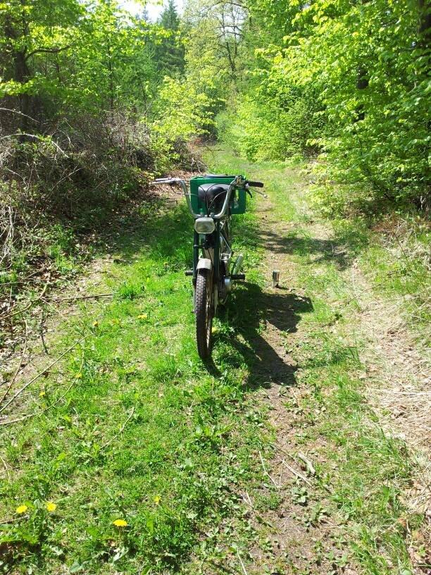 Puch Maxi K billede 1