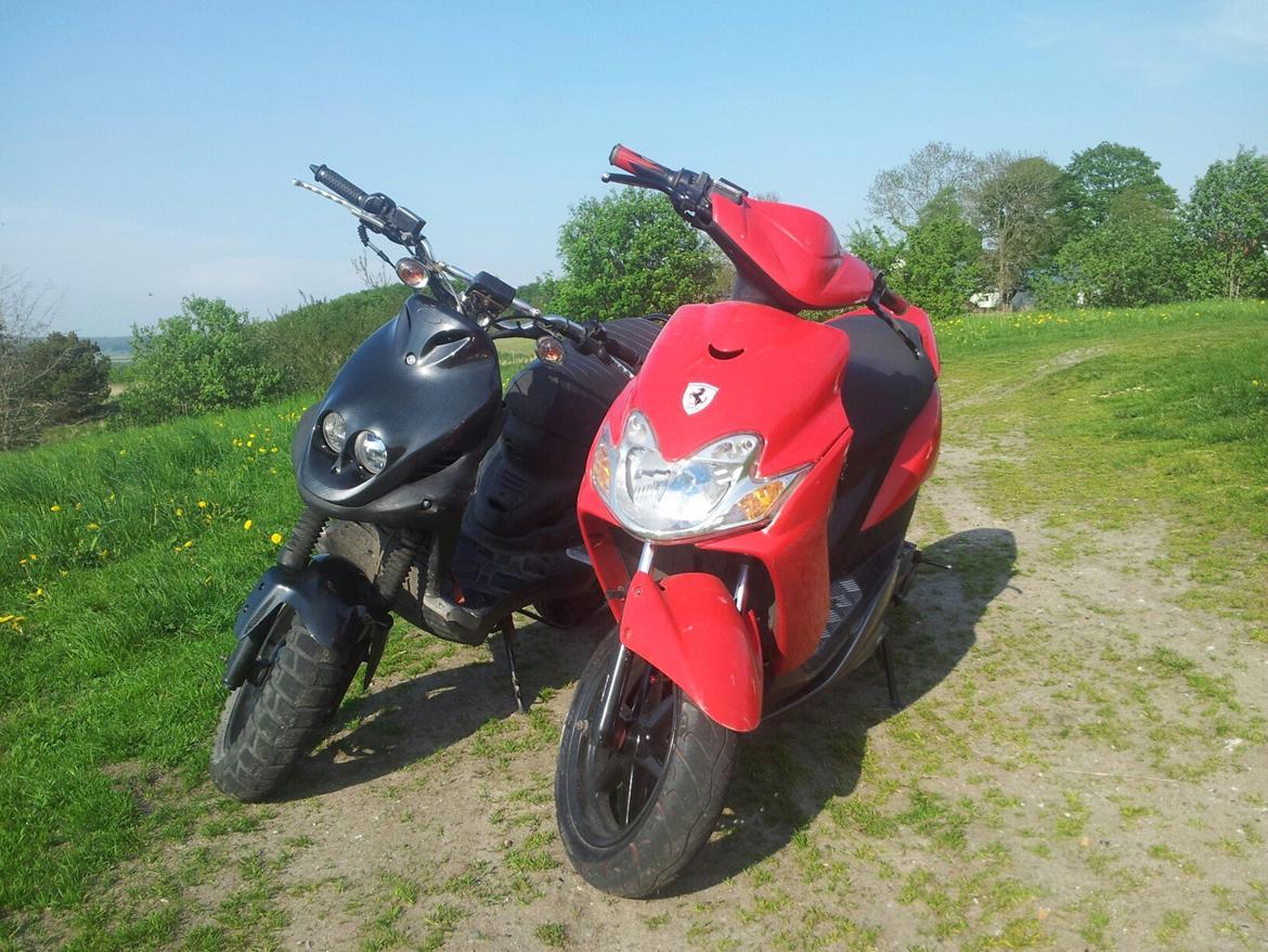 PGO PMX Naked billede 5