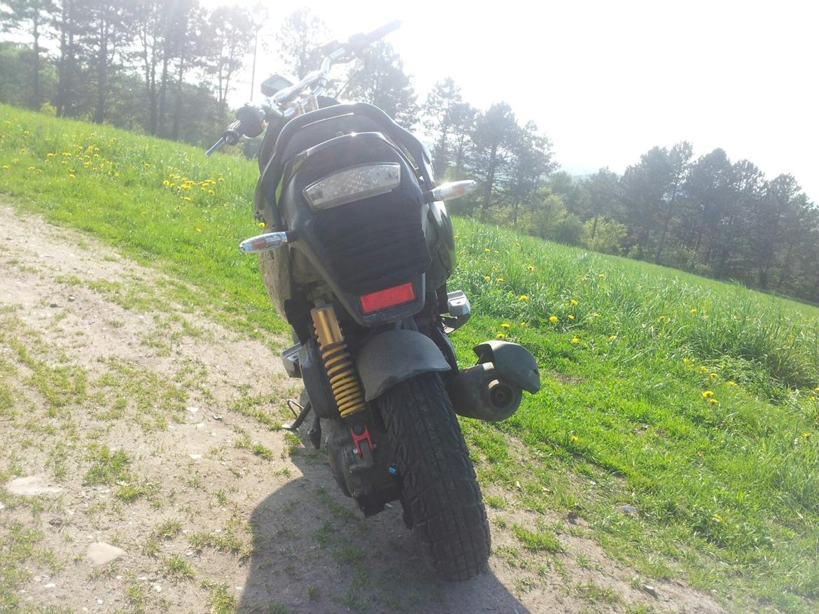 PGO PMX Naked billede 4