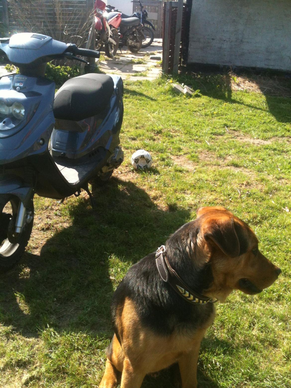 PGO hot 50 billede 3