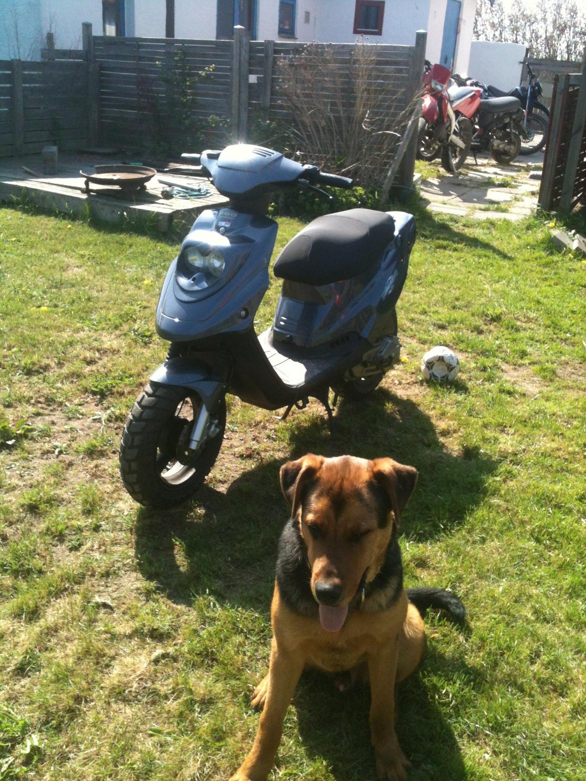 PGO hot 50 billede 4