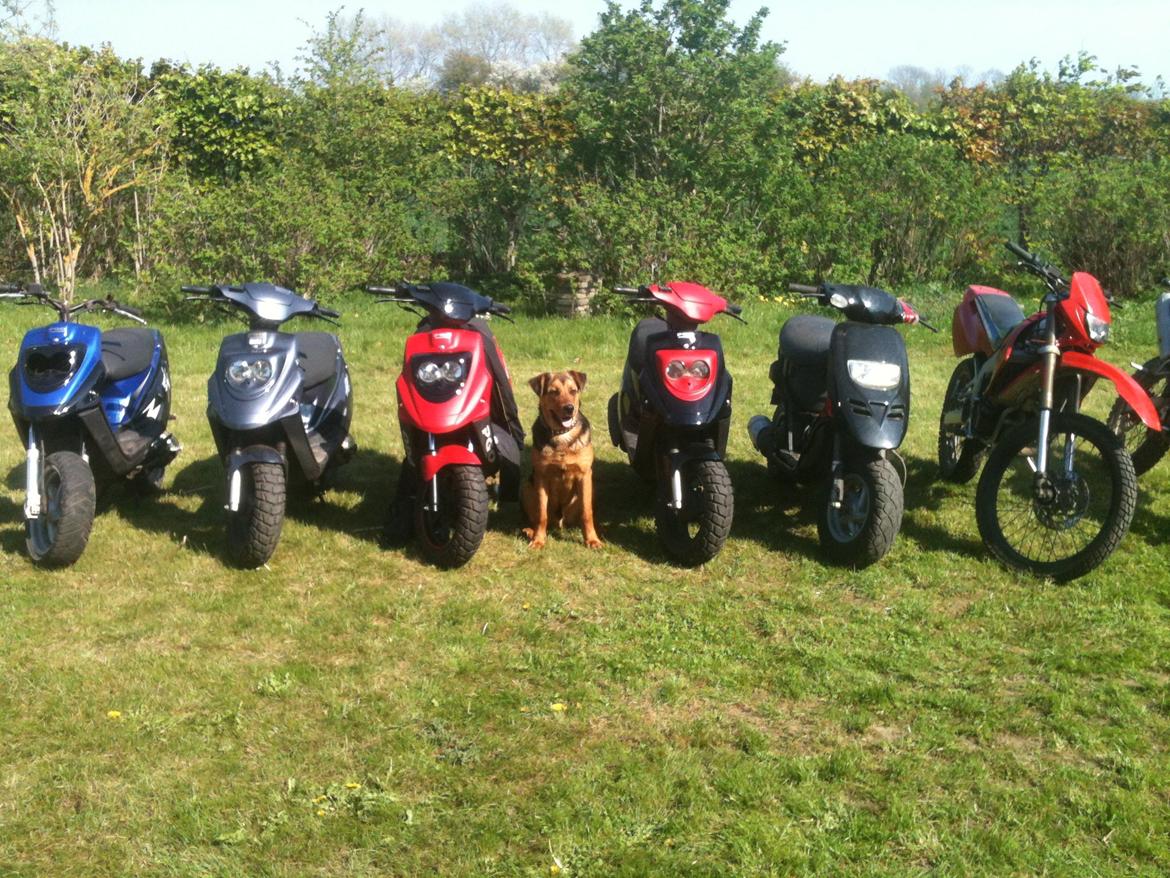 PGO Hot 50 billede 7