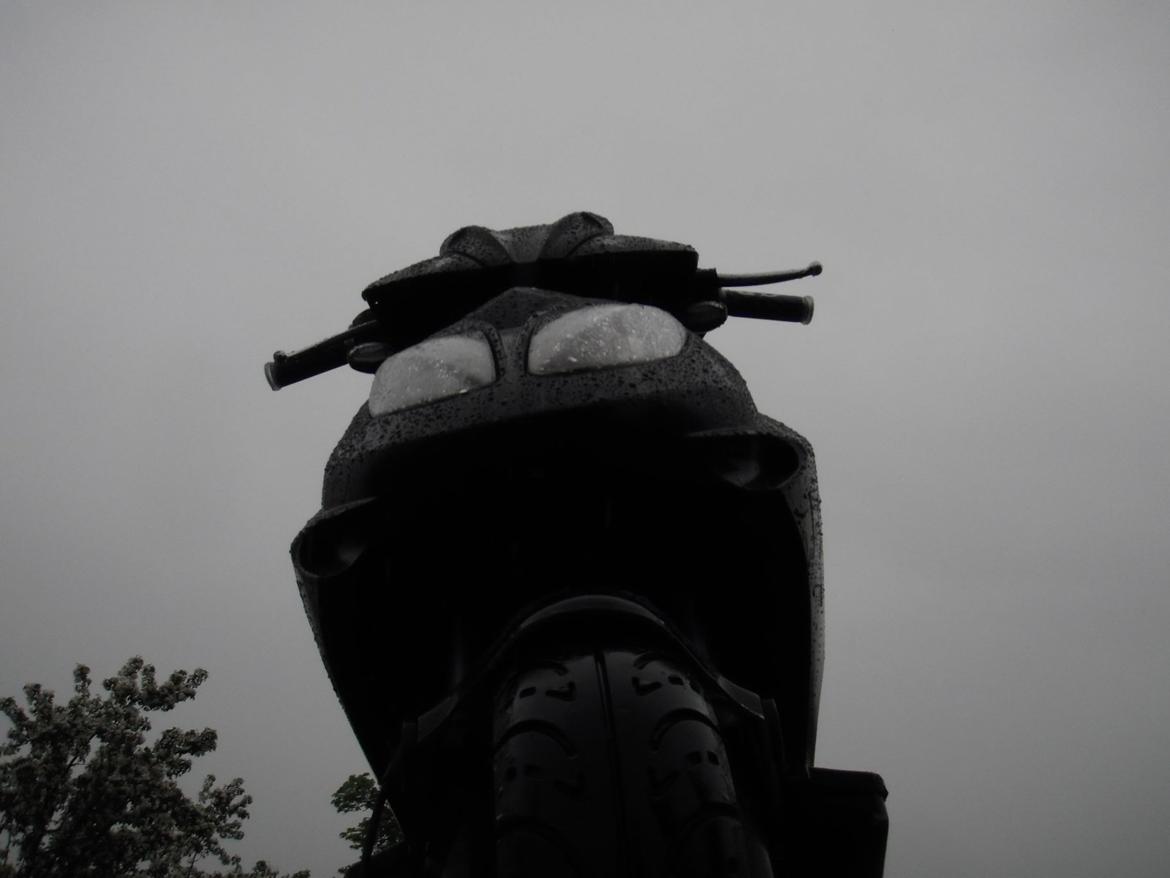 Giantco spartan billede 14