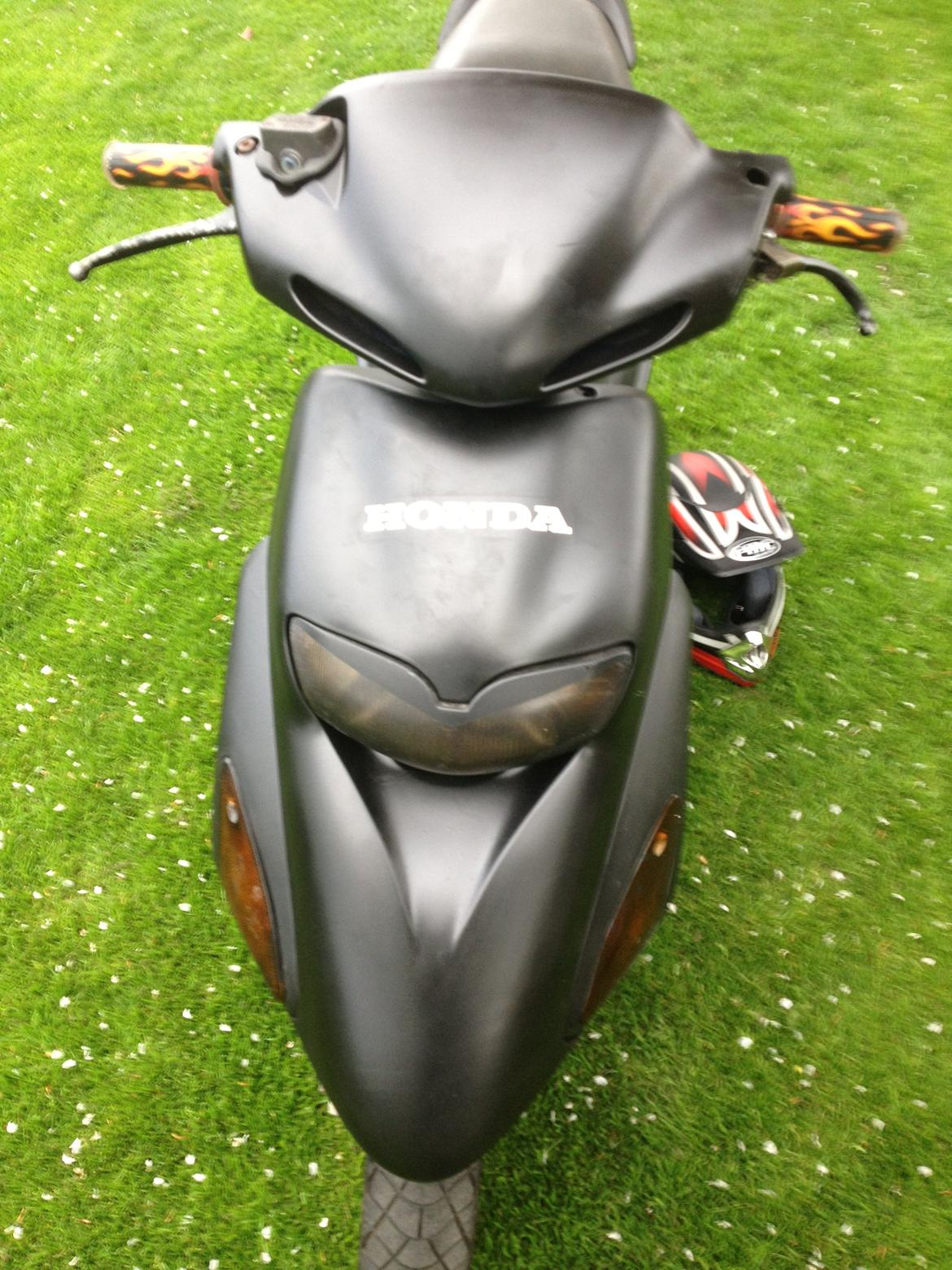 Honda Sfx billede 11