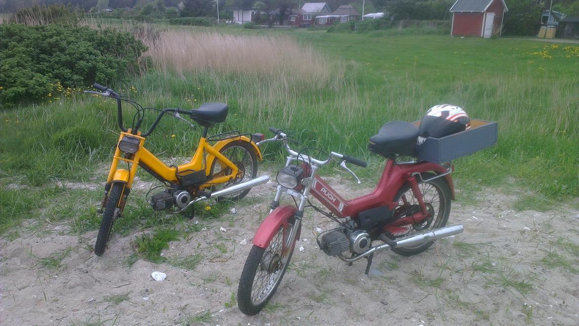 Puch Maxi K billede 2