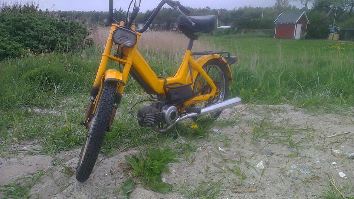 Puch Maxi K billede 5