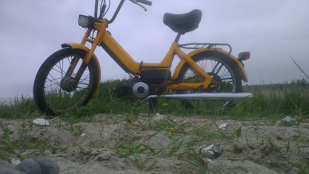 Puch Maxi K billede 9